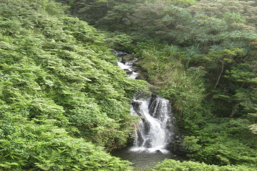 ../image/waterfall near hilo mile marker 16.jpg